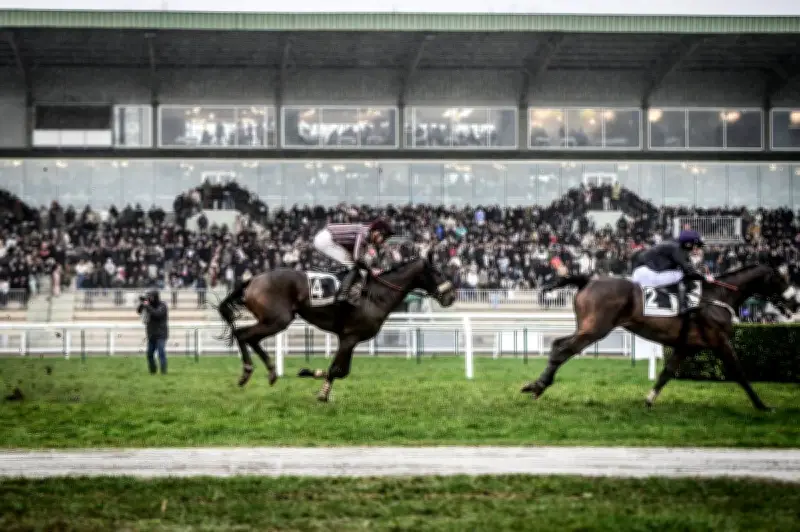 La filière équine en Nouvelle-Aquitaine : un pilier économique atypique et diversifié