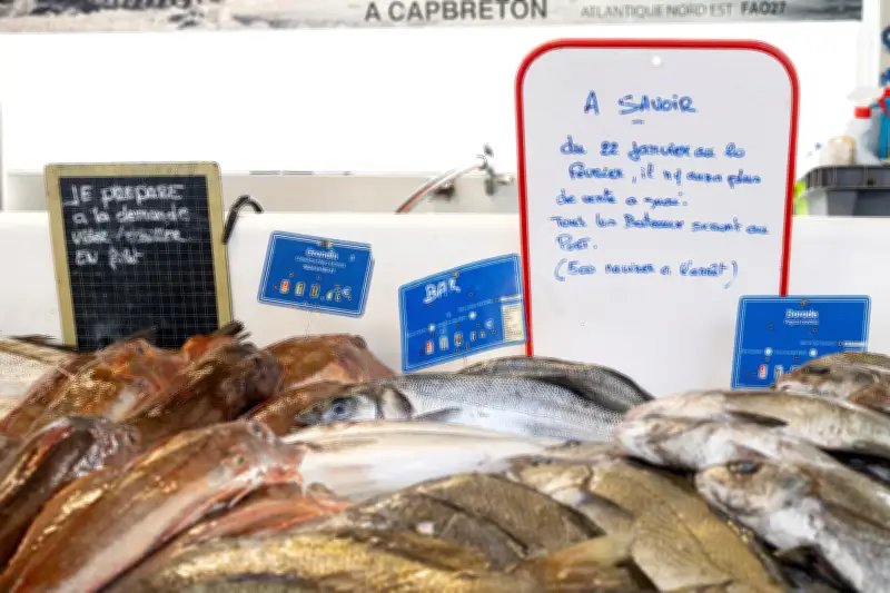 La flotte de pêche européenne se réduit, l'autosuffisance en baisse selon Eurostat