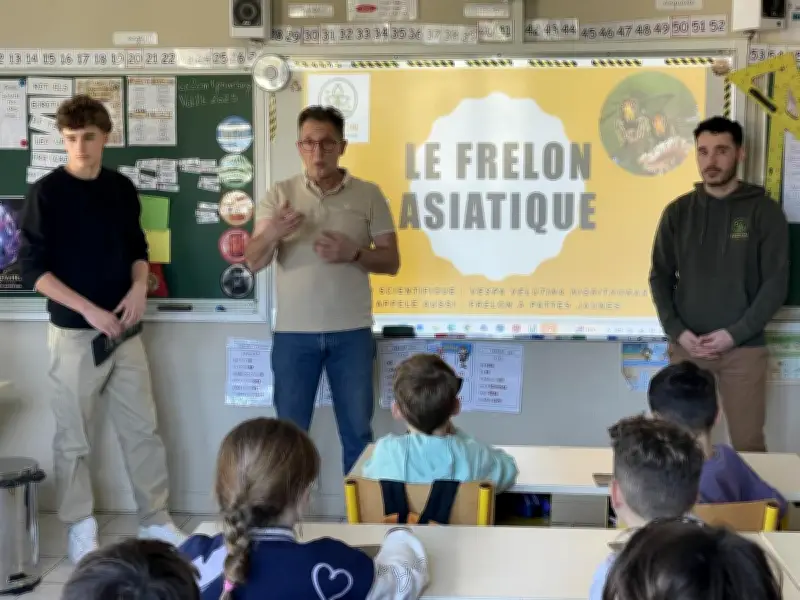 La Fredon 17 sensibilise des écoliers à la lutte contre le frelon asiatique en Charente-Maritime