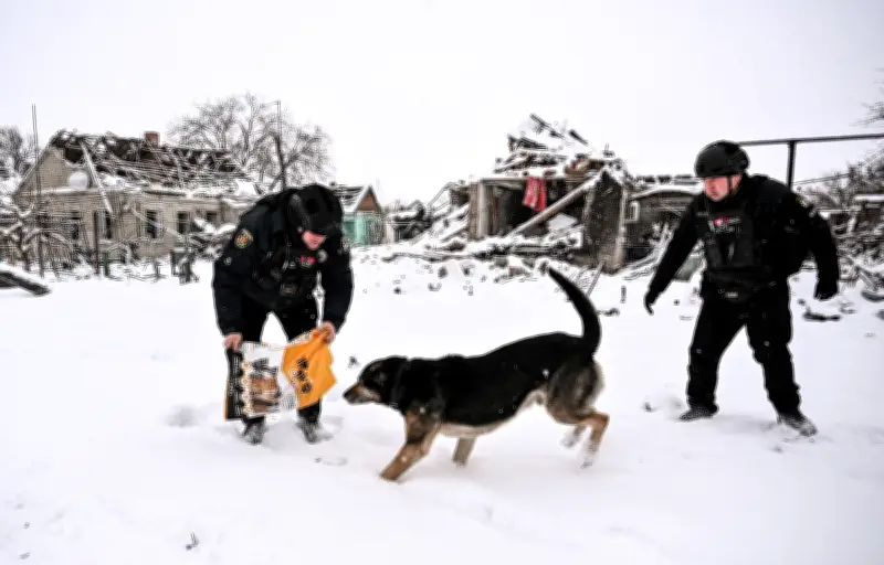 La guerre en Ukraine transforme les chiens domestiques en animaux sauvages