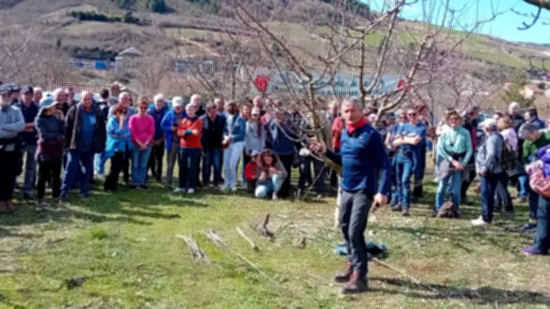 La Journée de l'Arbre de Paulhe mise en pause après 25 ans d'existence