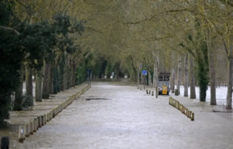 La Loire en crue majeure inonde l'Anjou, douze départements en vigilance orange