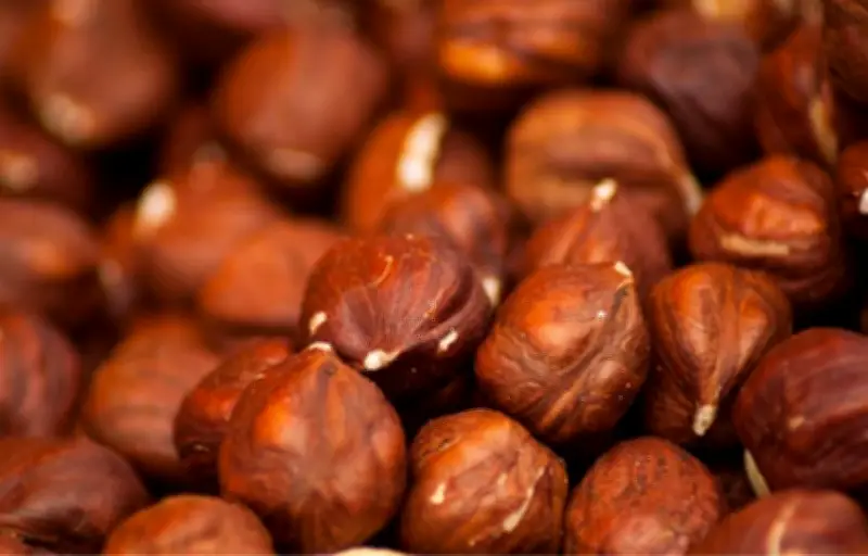 La noisette : un trésor nutritionnel aux multiples bienfaits pour la santé