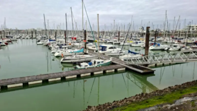 La Rochelle révèle sa biodiversité portuaire grâce à l'ADN environnemental