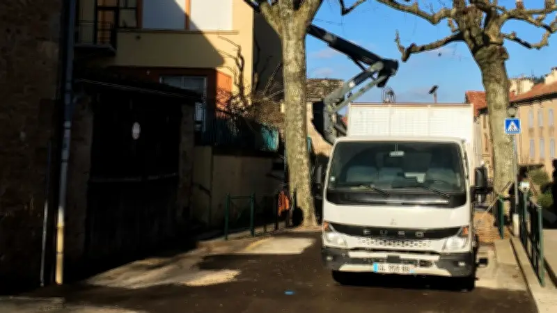 Élagage sévère des platanes à Saint-Rome-de-Tarn : une coupe de printemps sur l'avenue Affre