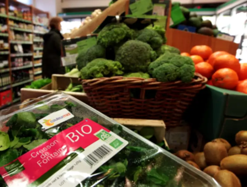 L'agriculture bio enregistre sa première baisse historique de producteurs en 2025