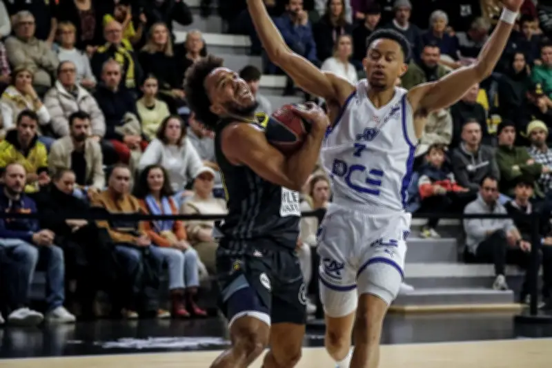 L'Alliance Sport Alsace s'impose face à La Rochelle dans un match intense d'Élite 2