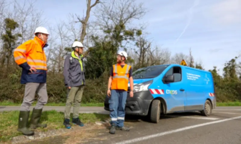 Landes : le réseau électrique entièrement rétabli après la tempête Nils