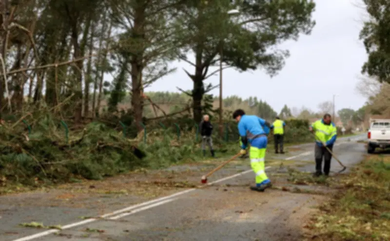 Landes : routes toujours coupées après la tempête Nils, câbles électriques en cause