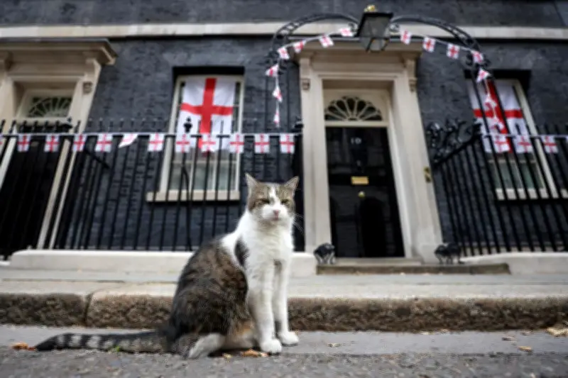 Larry, le chat de Downing Street, fête ses 15 ans au pouvoir