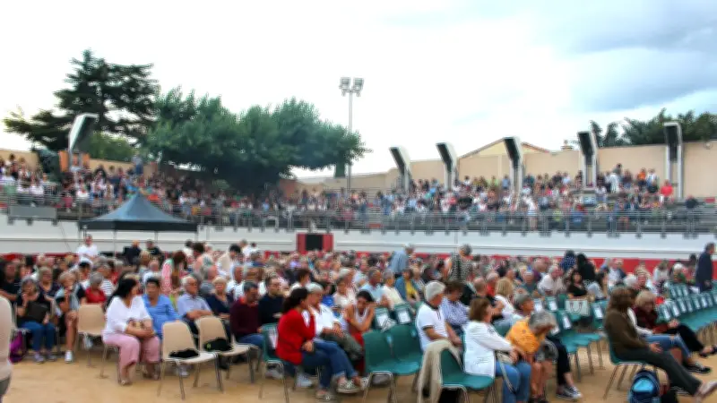 Laurent Voulzy en concert dans les arènes de Bouillargues le 3 juillet
