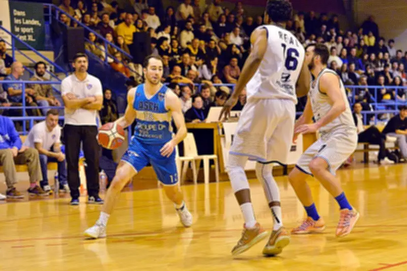 L'Avenir de l'ASCH affronte Rezé Basket 44 en NM2 ce samedi à Horsarrieu