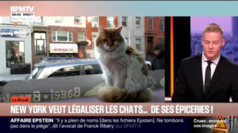 Le break du mercredi 11 février : actualités sportives, Epstein et IA en vedette