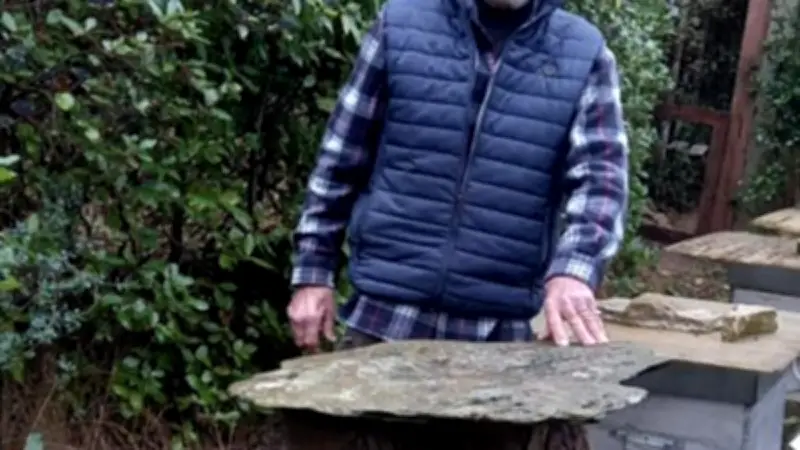 Le Café citoyen dévoile la vie secrète des abeilles avec un apiculteur passionné