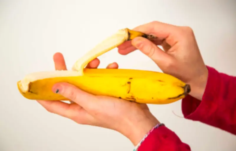 Le chatbot santé américain confond bouche et rectum dans ses conseils alimentaires