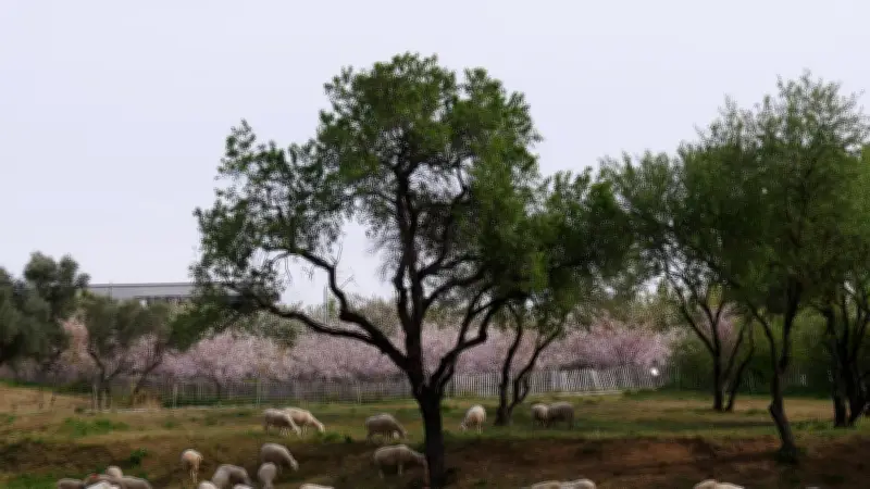 Le collectif Ceinture Verte interpelle les candidats aux municipales sur l'agropastoralisme