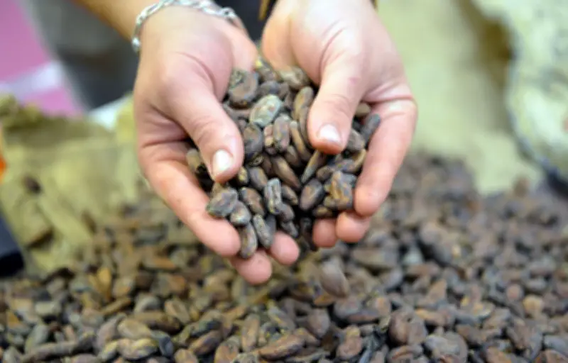 Le commerce équitable explose avec +25% de croissance en 2024, dépassant 2,6 milliards d'euros