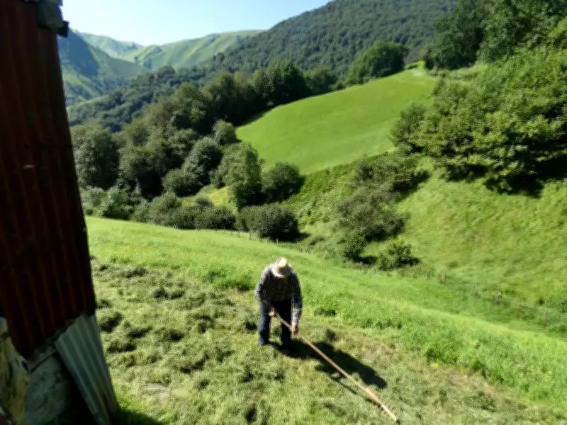 Le CPIE Pays basque lance un cycle de formation sur les savoir-faire du jardin en 2026