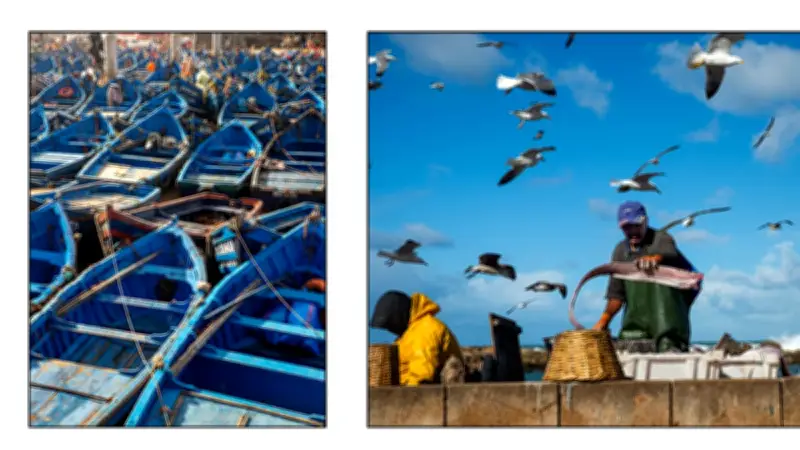 Le diptyque photographique célèbre le Baillarguet dans une exposition collective