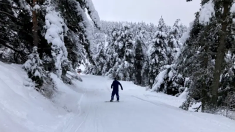 Le domaine alpin du Mont Lozère ferme ses portes, le nordique reste accessible