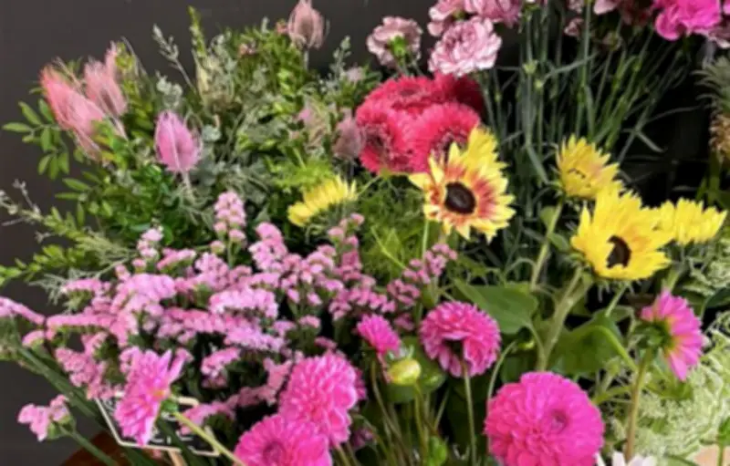 Le langage des fleurs reste-t-il trop genré ? Une étude révèle une évolution des mentalités