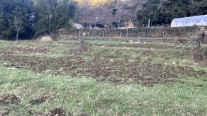 Le maire de Lamelouze alerte le gouvernement sur les dégâts du grand gibier dans le Gard