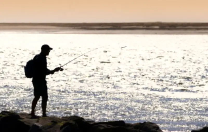 Le maquereau en péril : la France impose un quota aux pêcheurs amateurs