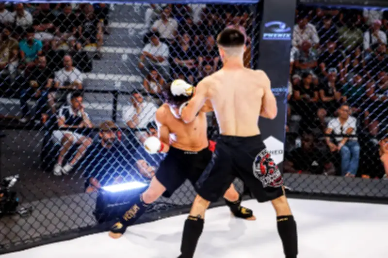 Le MMA fait son entrée en Dordogne avec les Hexagone MMA Series au Palio de Boulazac