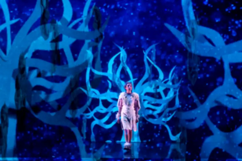 « Le Renard et la Terre » : un conte écologique pour enfants à Saint-Astier