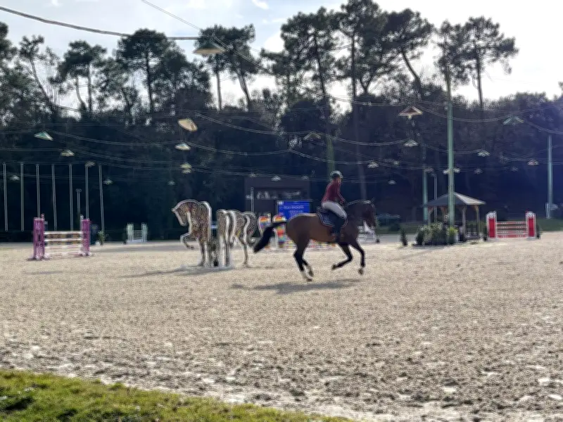 Le Royan Horse Club lance trois semaines de compétitions équestres prestigieuses
