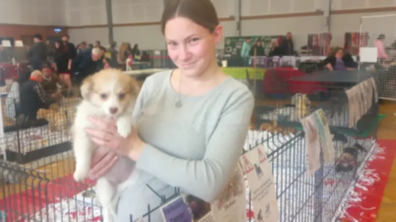 Le salon du chiot de Béziers enchante mais divise, le Parti animaliste mobilisé