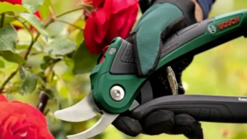 Le sécateur sans fil Bosch EasyPrune à prix cassé sur Cdiscount : une aubaine pour jardiniers