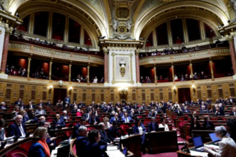 Le Sénat adopte la constitutionnalisation de l'IVG, une étape historique vers la garantie définitive