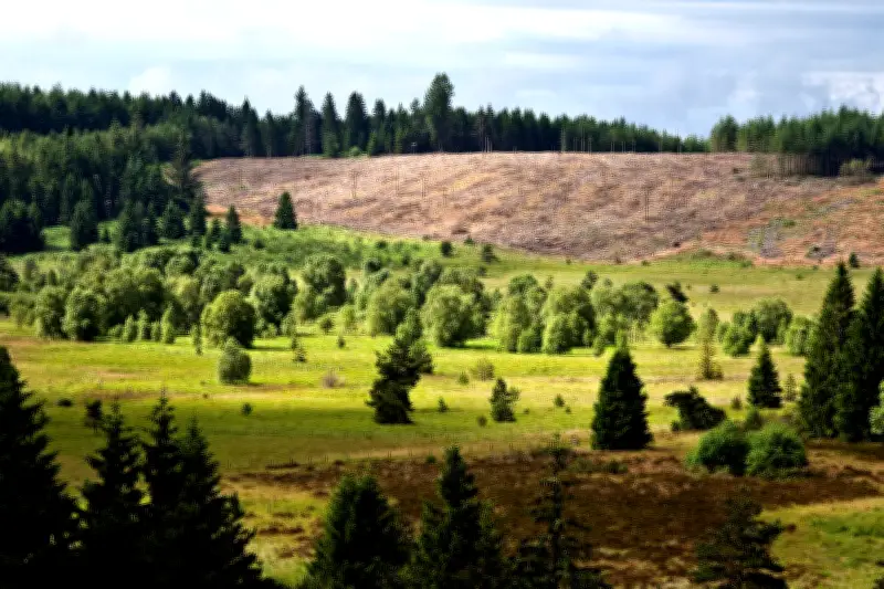 Le sol, poubelle biologique et trésor climatique : la matière organique au cœur de la fertilité