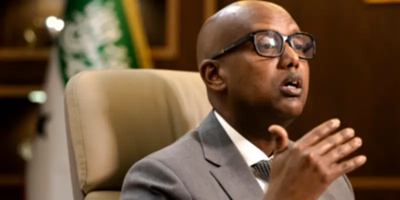 Le Somaliland propose des exclusivités minières et des bases militaires aux États-Unis