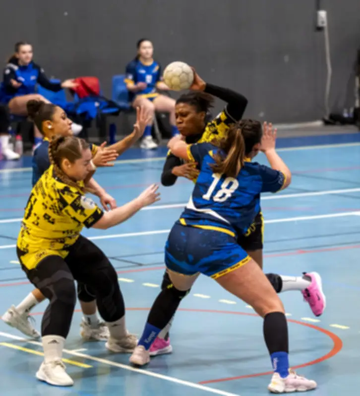 Le Stade Montois handball s'enfonce après une lourde défaite face à Lège-Cap-Ferret