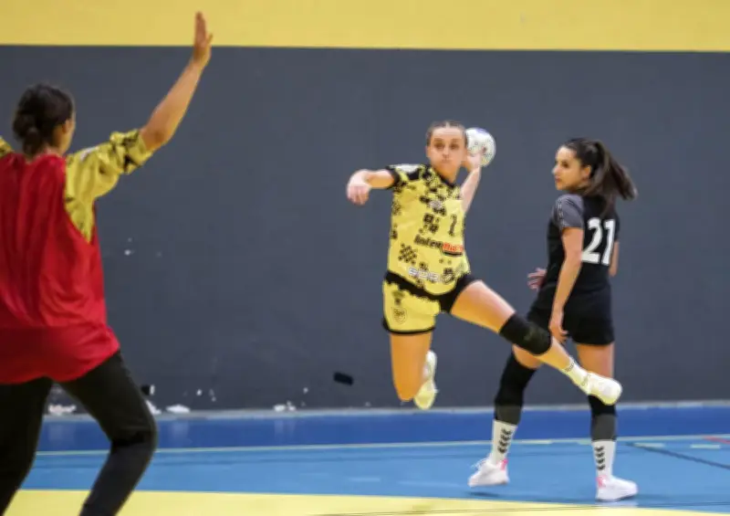 Le Stade Montois handball s'incline à Pau-Nousty, plombé par les blessures