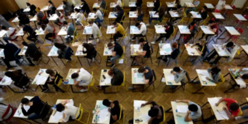 Le vote RN reste lié au faible diplôme, révélant les fractures scolaires françaises