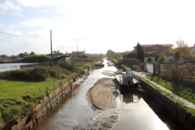 Élections municipales : les candidats s'engagent sur l'avenir du quartier du Canelot et de la Maline