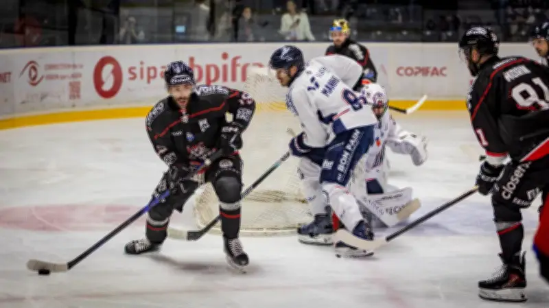 Les Boxers de Bordeaux en crise avant les play-offs après trois défaites consécutives