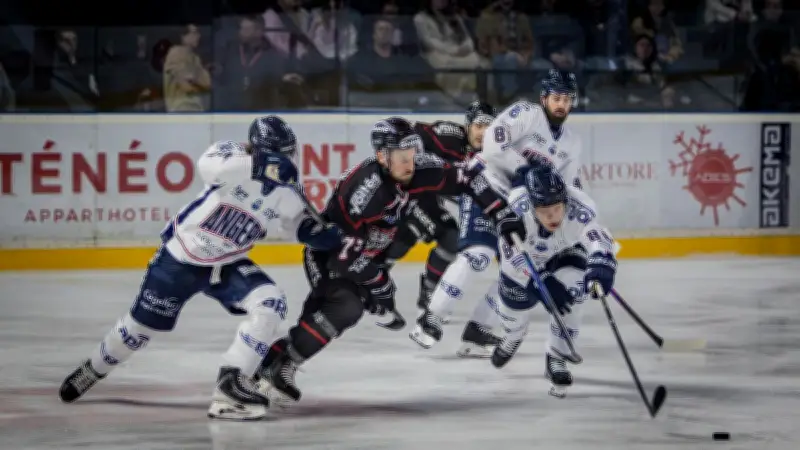 Les Boxers de Bordeaux sombrent face à Angers, indiscipline et lacunes techniques coûtent cher