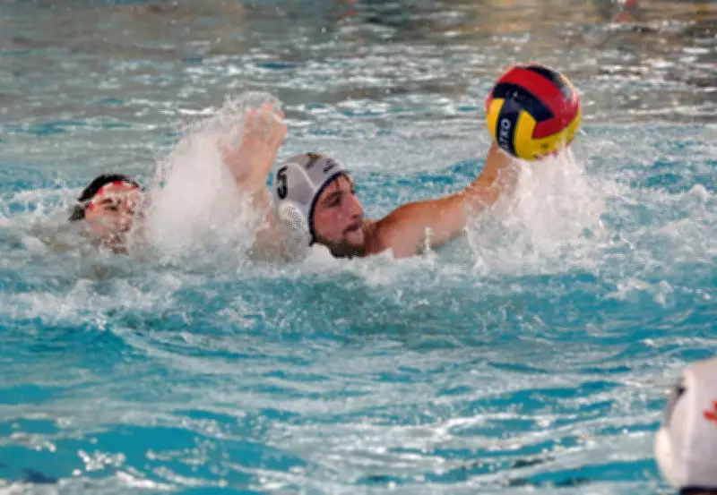 Les Canards rochelais affrontent Monaco en Nationale 1 avec un œil sur le maintien