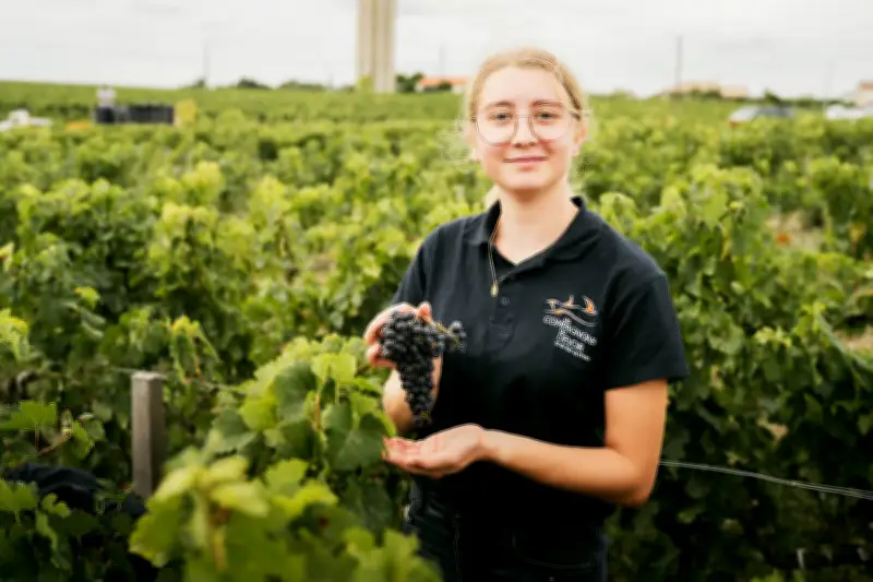 Les Compagnons du Devoir forment aux métiers du vin en alternance avec tour de France