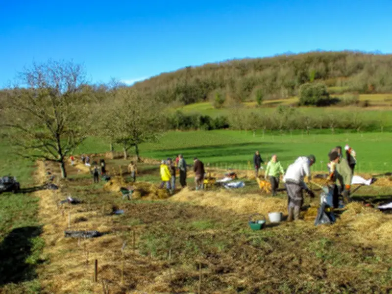 Les derniers arbres plantés pour les Vergers de la transition écologique en Dordogne