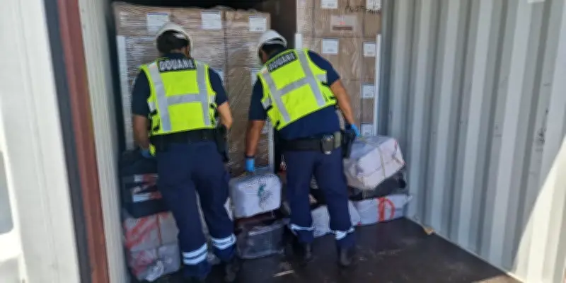 Les douanes françaises saisissent 109 tonnes de stupéfiants en 2025, une hausse spectaculaire
