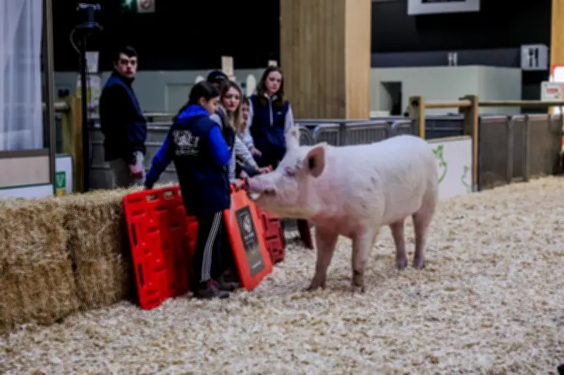 Les filières de viandes blanches unies pour la souveraineté alimentaire de la France