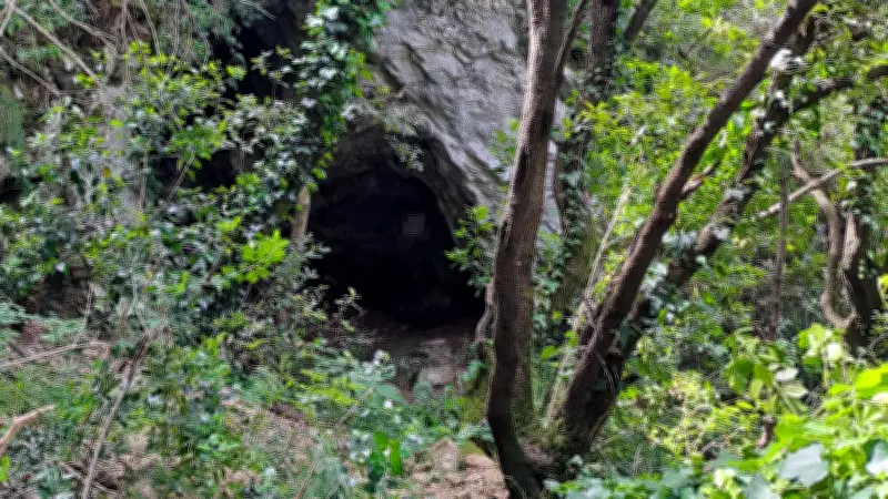 Les grottes de Julio protégées pour sauvegarder les chauves-souris rares