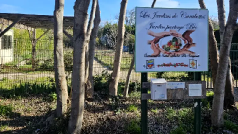 Les jardins partagés de Carabottes cherchent de nouveaux jardiniers à Saint-André-de-Sangonis
