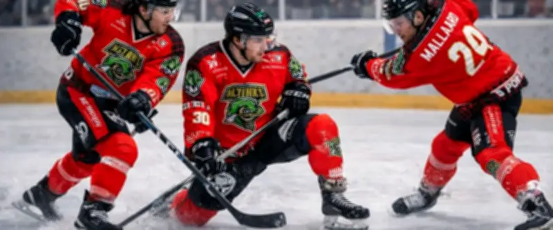 Les Krokos de Nîmes valident leur billet pour les play-off de Division 3