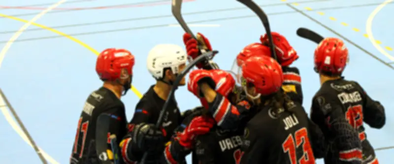 Les Krokos Nîmois en crise : forfait et play-down en vue en roller hockey N2